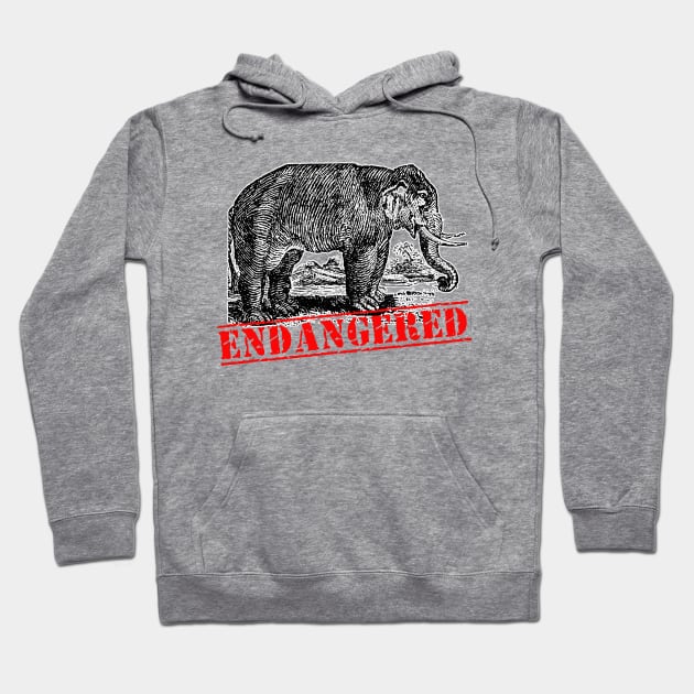 ENDANGERED ELEPHANT Hoodie by Scarebaby